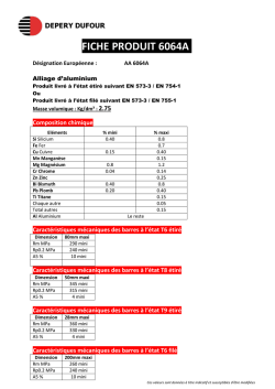 FICHE PRODUIT 6064A 130