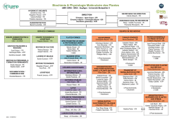 Organigramme () - INRA Montpellier