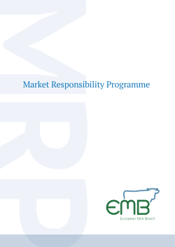 EMB Market Responsibility Programme