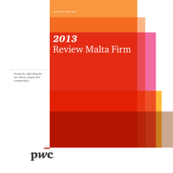 2013 Review Malta Firm