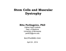 Stem Cells and Muscular Dystrophy