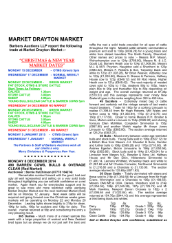 Market Report 11th December 2014