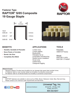 raptor-plastic