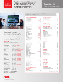 VERIZON FiOS TV FOR BUSINESS