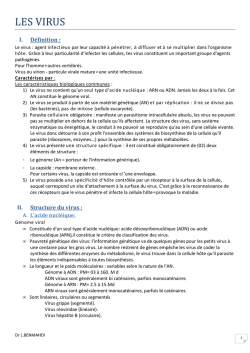 LES VIRUS - Portail