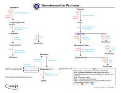 Neurotransmitter Pathways - Functional Medicine University