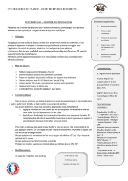 RENODRESS GF &ndash; MORTIER DE RENOVATION