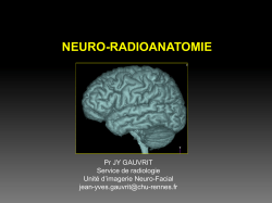 Sémiologie neuro-radioanatomie ue10