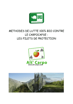 ALT CARPO 13