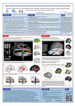 Browsing the Connectome: 3D Functional and Structural Brain