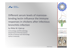 Different Serum Levels of Mannosebinding Lectin Influence the