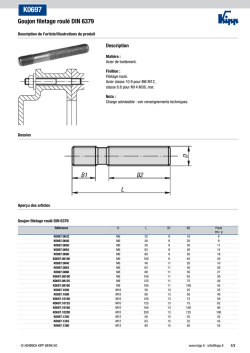 Fiche technique K0697 Goujon filetage roul&eacute; DIN 6379