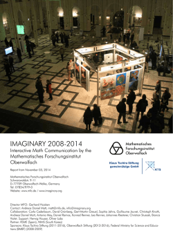 IMAGINARY report English (pdf)