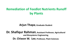 Remediation of Nutrients From Feedlot Runoff by Plants