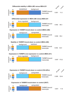 Differential stability in MDA-LM2 versus MDA-231