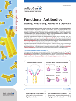Flyer_AdipoGen_Functional Antibodies_NP_2014_final.indd