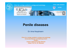 Hauptmann - Penile diseases