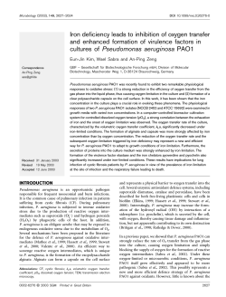 Download as a PDF