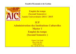 Second Semestre - Administration des Institutions Culturelles