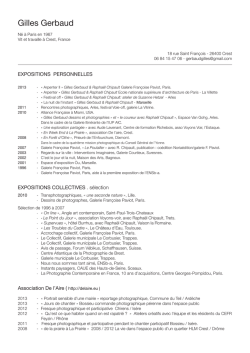 CV - Gilles Gerbaud