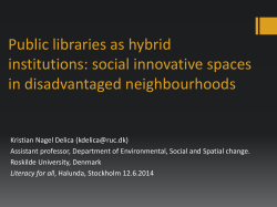 Public libraries as hybrid institutions: social