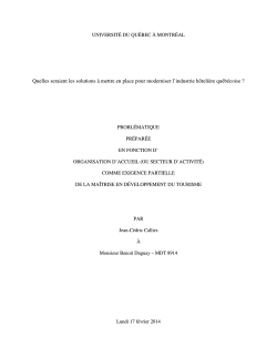 Problématique de Jean-Cédric Callies - MDT8914