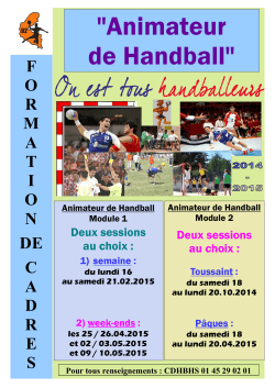 Animateur de Handball - Comité Handball 92