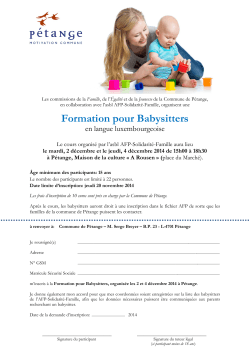 Formation pour Babysitters