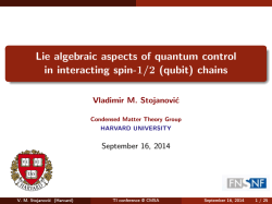 Lie algebraic aspects of quantum control in interacting spin