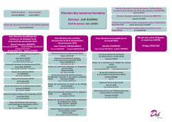 Organigramme de la Direction des ressources humaines
