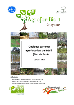 Quelques systèmes agroforestiers au Brésil (Etat du - SIMA