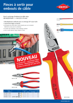 Information produit: Pinces &agrave; sertir pour embouts de c&acirc;ble