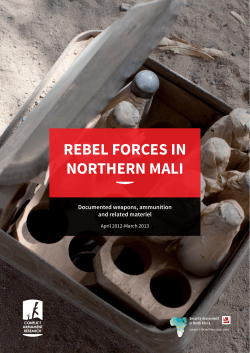 REBEL FORCES IN NORTHERN MALI