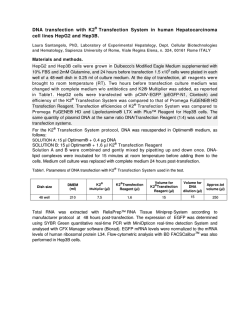 DNA transfection with K2&reg; Transfection System in human