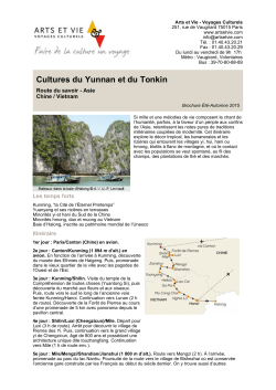 Cultures du Yunnan et du Tonkin