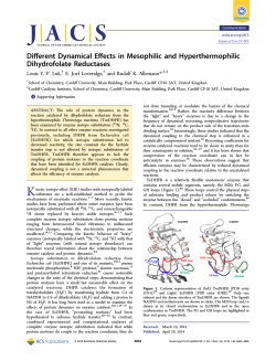 Different Dynamical Effects in Mesophilic and Hyperthermophilic