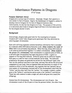 Inheritance Patterns in Dragons