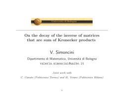 V. Simoncini - Dipartimento di Matematica