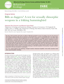 A test for sexually dimorphic weapons in a lekking hummingbird