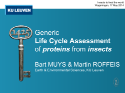 Generic Life Cycle Assessment of proteins from insects