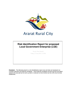 Risk Identification Report for proposed Local Government Enterprise