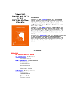 ECA SpList