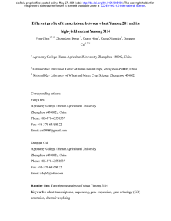 Different profile of transcriptome between wheat Yunong