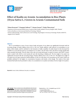 Effect of Kaolin on Arsenic Accumulation in Rice Plants