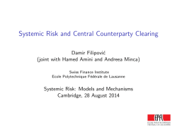 Systemic Risk and Central Counterparty Clearing