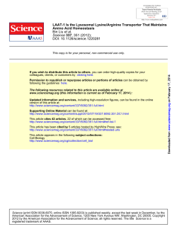 LAAT-1 is the lysosomal lysine/arginine transporter that maintains