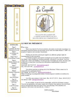 Dominer sa part d`ombre. Un guide de transformation int&eacute;rieure.