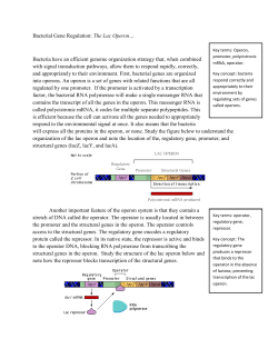 Gene Machine-lac operon guide