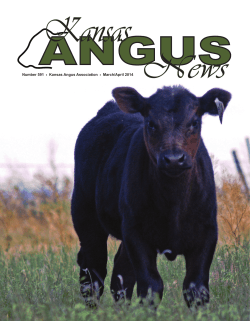Number 591 . Kansas Angus Association . March/April 2014