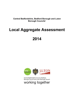 Bedfordshire Authorities LAA 2014